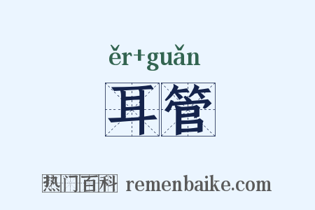 耳管是什么意思的图片